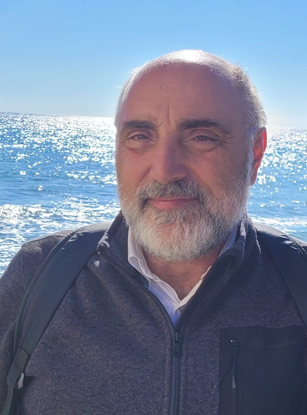 Prof. Antonio Di Domenico
